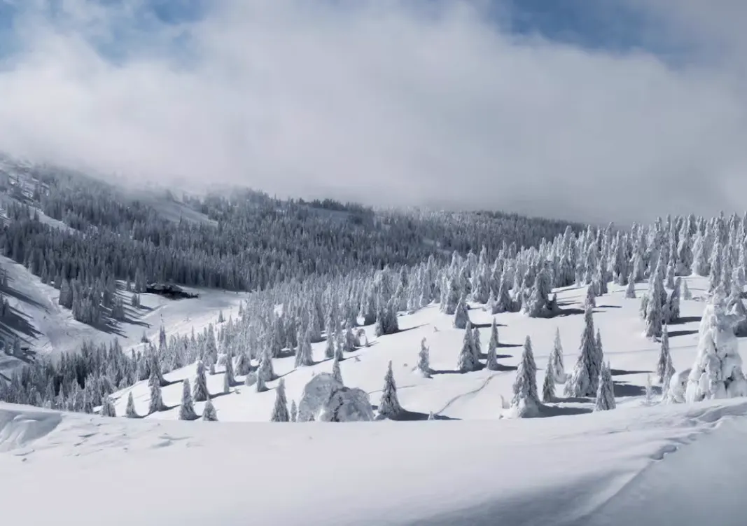 Kopaonik, photograph 20