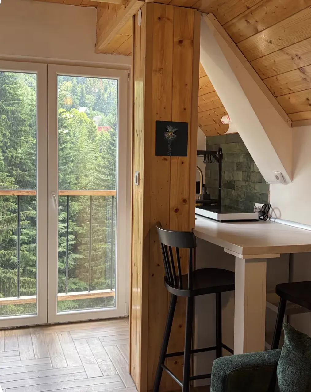 Kopaonik, photograph 17